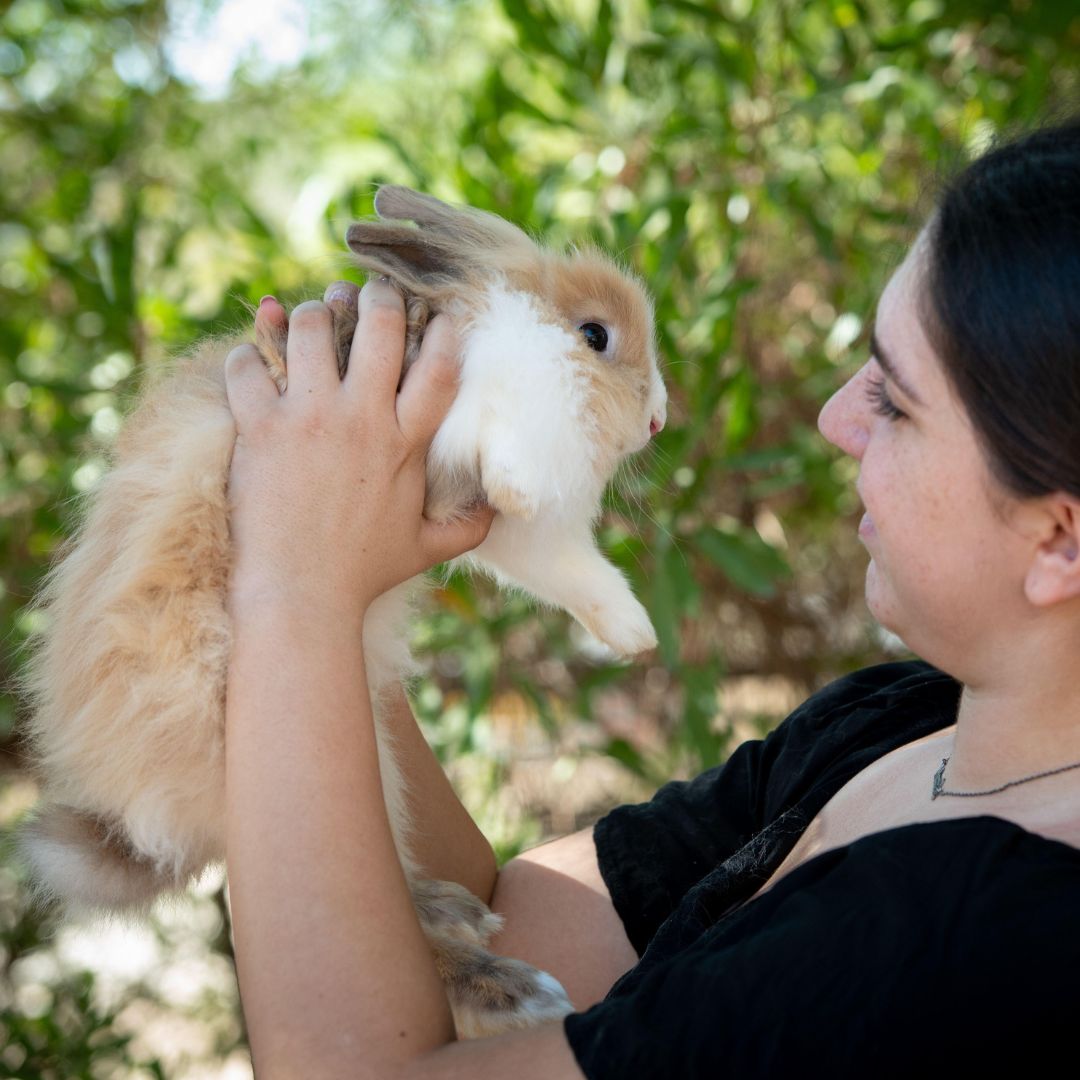 A person holding a small rabbit in their arms A person holding a small rabbit in their arms