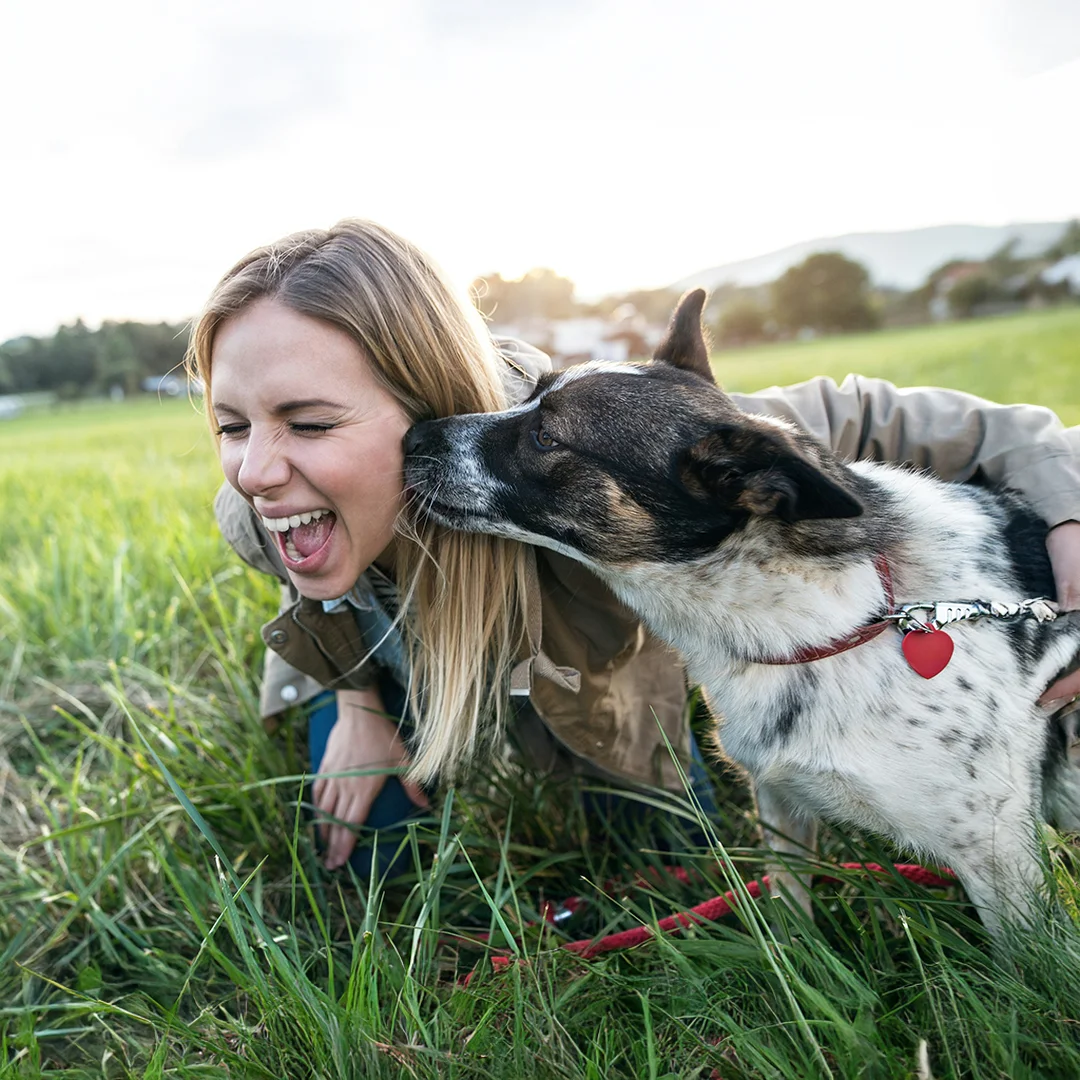 Dog licking woman outdoors