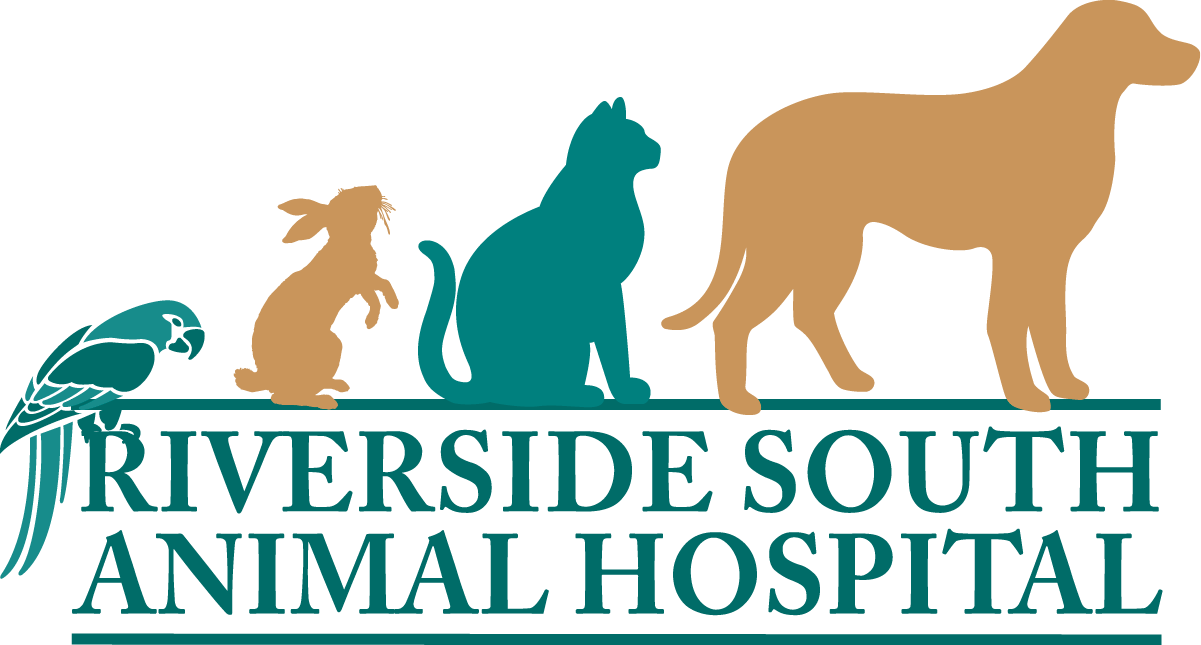 Riverside South Animal Hospital Logo