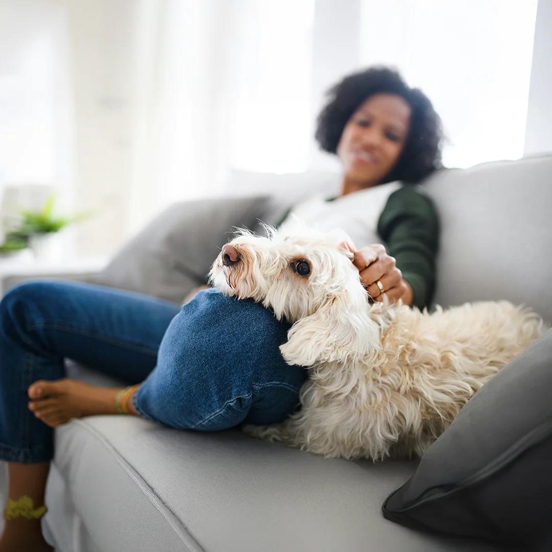 Woman relaxing with dog on couch Fluffy white dog resting its head on a woman’s knee while she sits on a couch.