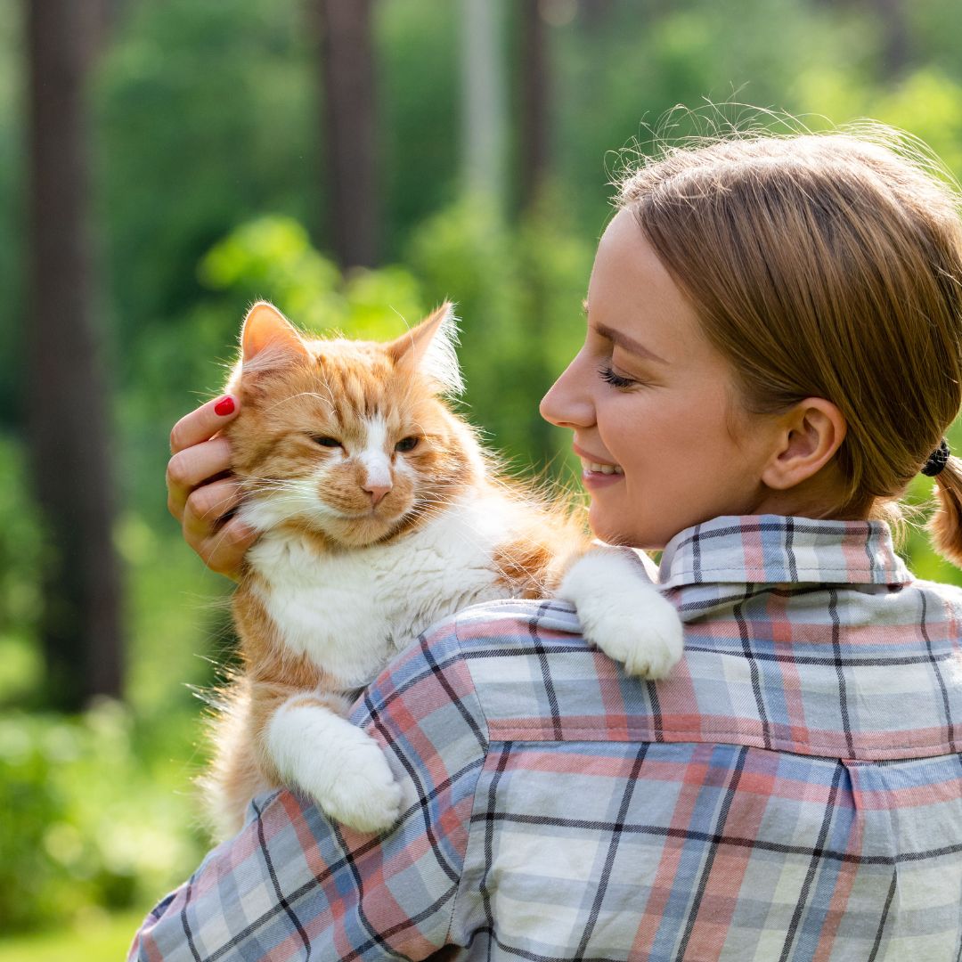 a person is holding an orange and white cat a person is holding an orange and white cat