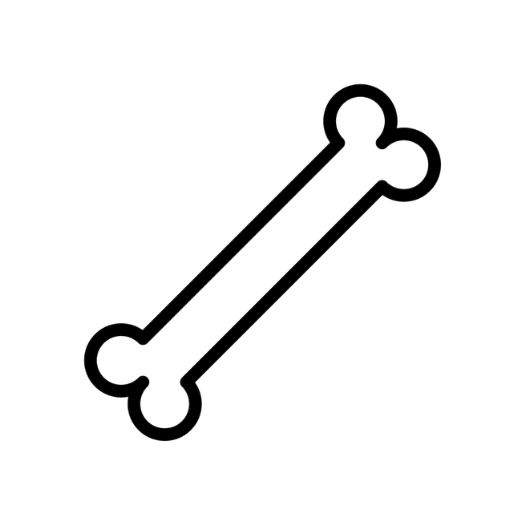 a black and white line drawing of a bone