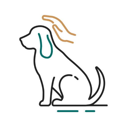 a dog sitting on the ground with a hand reaching out to touch it