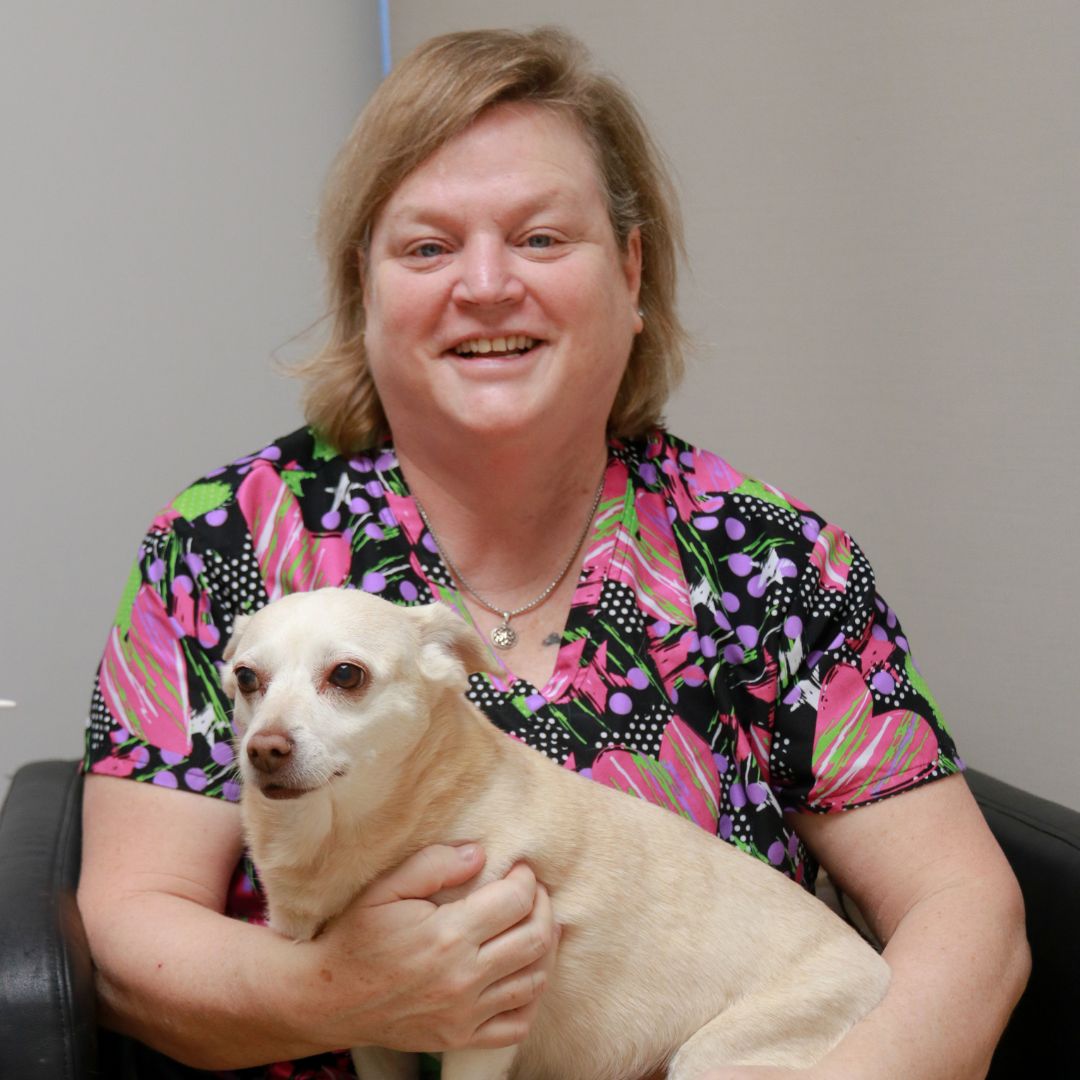 a person sitting on a chair holding a dog a person sitting on a chair holding a dog
