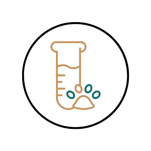 tube with a dog's paw in it